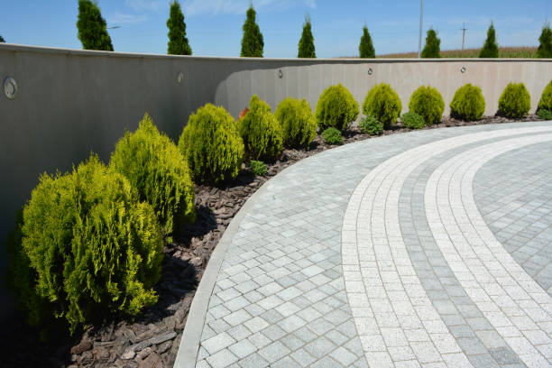 Best Residential Driveway Paver Services  in Schaumburg, IL